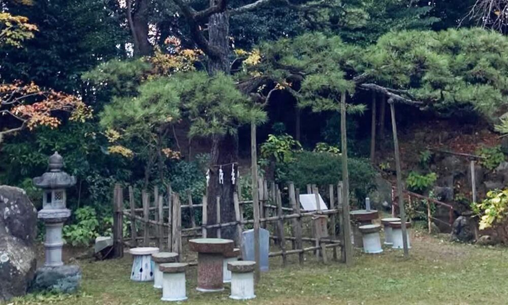 小松宮彰仁親王殿下(お手植え楠)